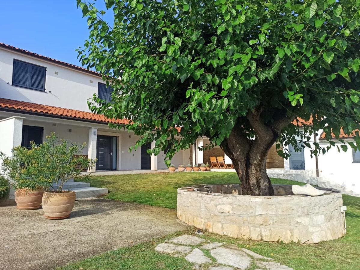 Villa Ivana Μεντουλίν Εξωτερικό φωτογραφία