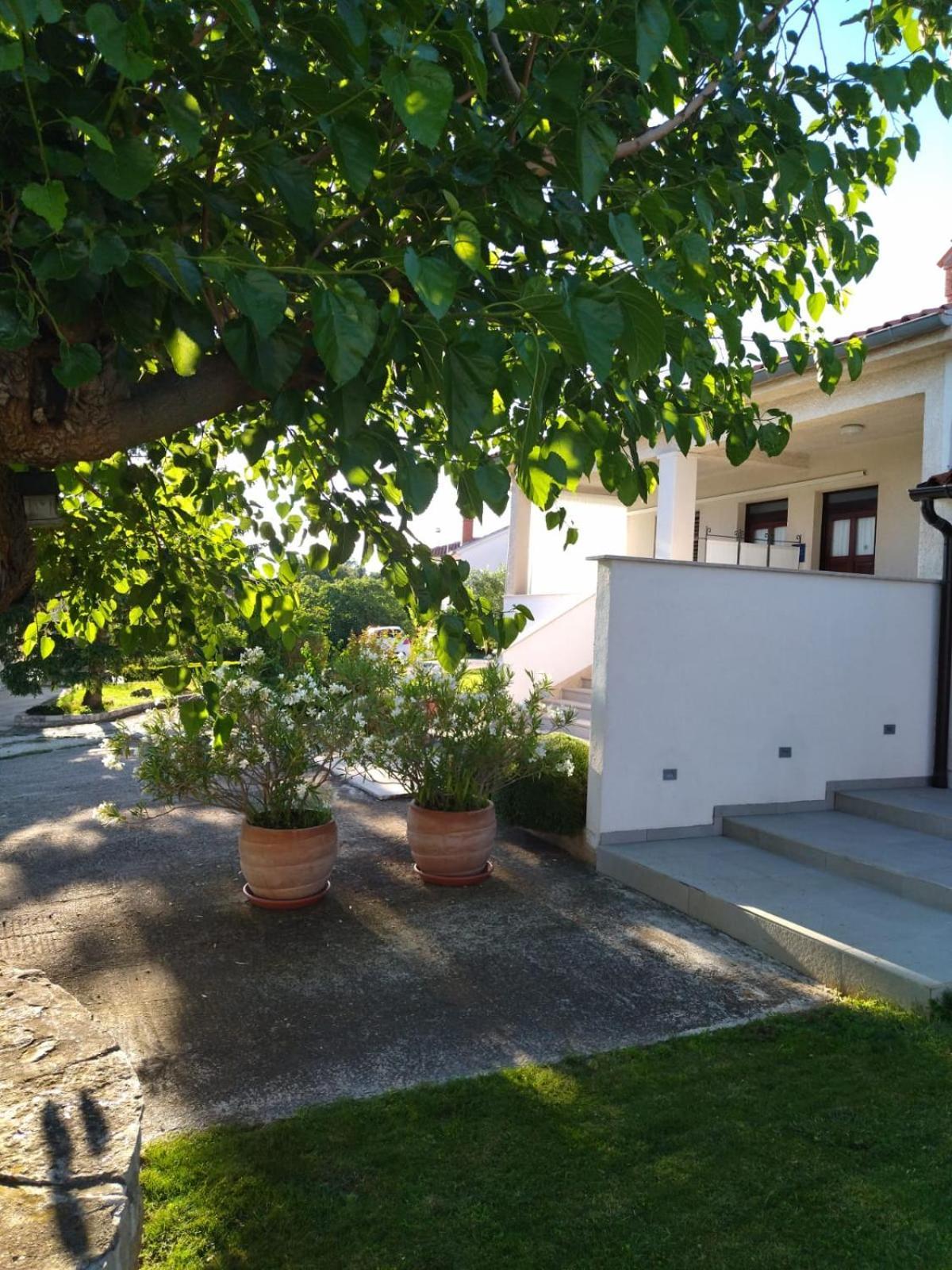 Villa Ivana Μεντουλίν Εξωτερικό φωτογραφία
